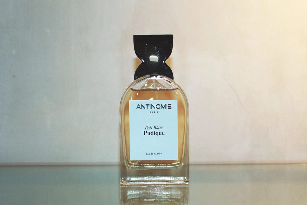 Antinomie Bois Blanc Pudique