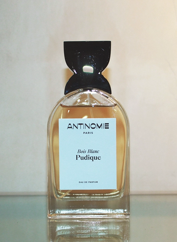 Antinomie Bois Blanc Pudique