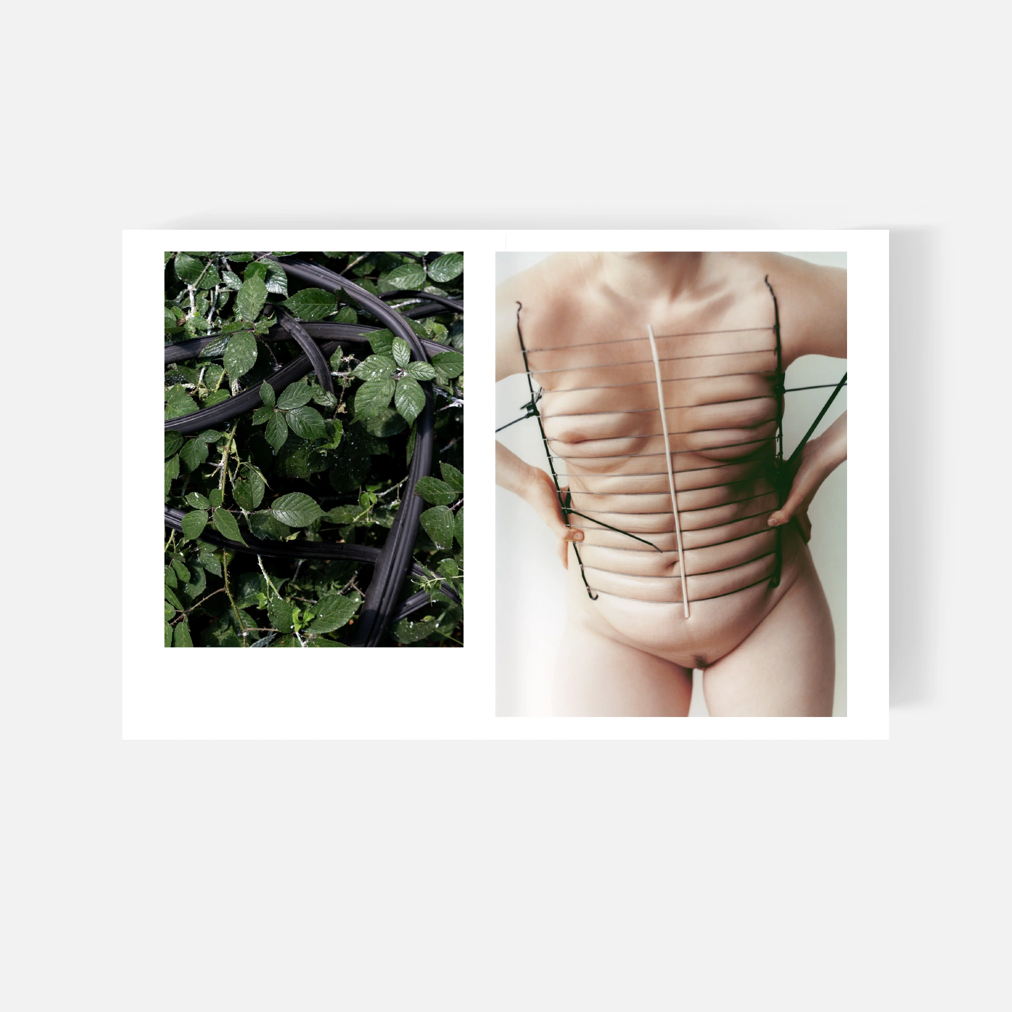 L32 Lampoon SOAP Fee-Floria Grönemeyer