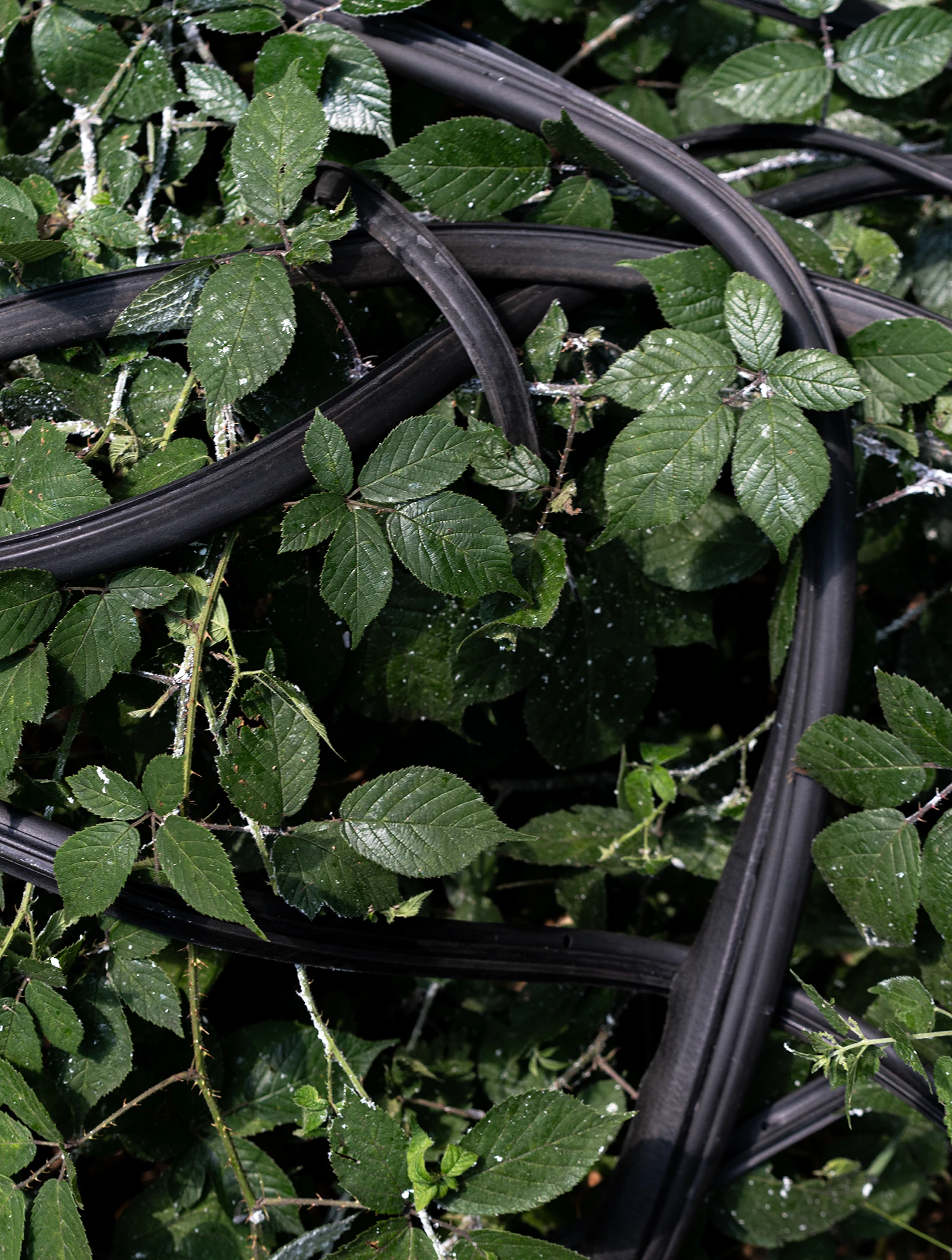 Photograhy and art direction Fee-Gloria Grönemeyer, styling Sid Yahao Sun, textile design Léa Domingues