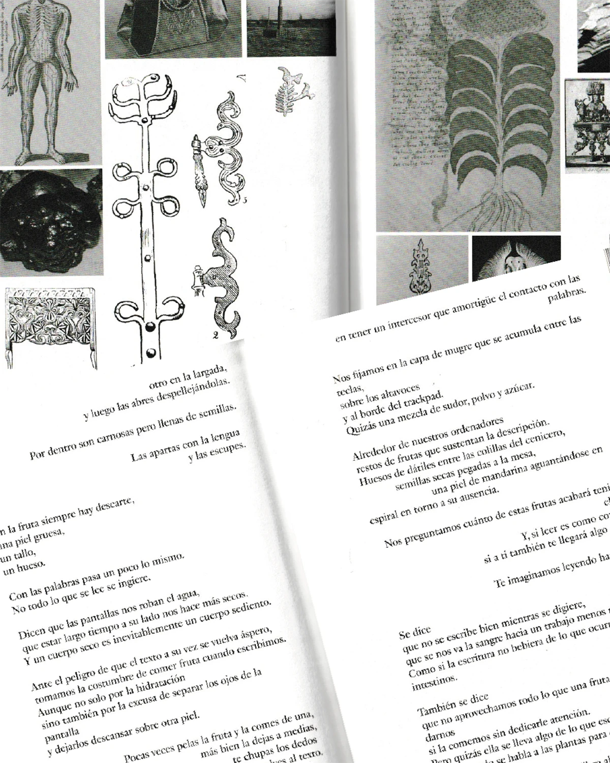 Lorenzo Zerbini and Yuri Tuma Snails Lampoon Issue 32 - scan book