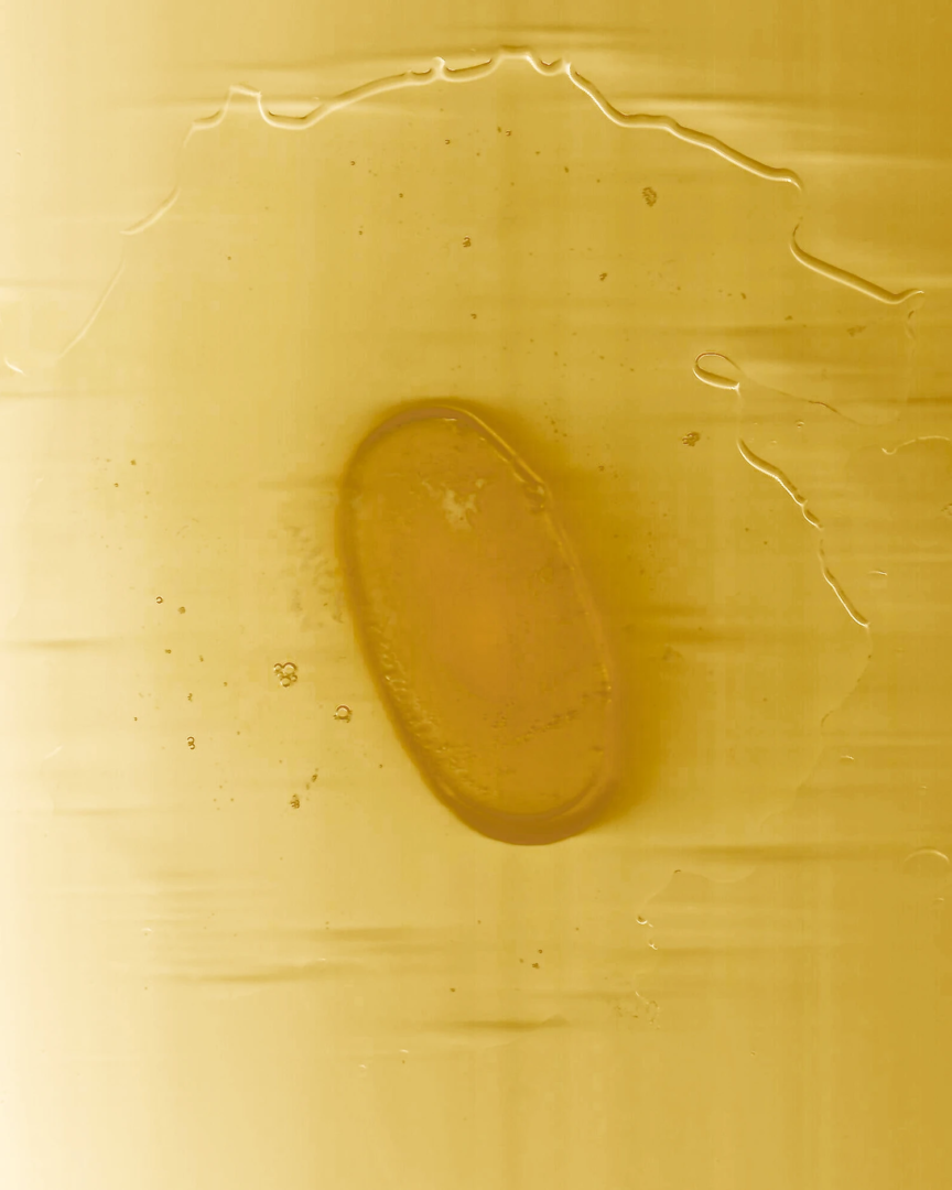 Photography Alberto Zanetti