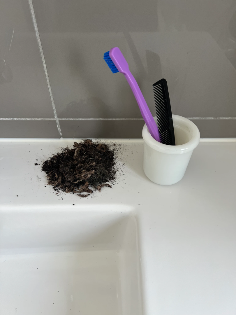 Photography Dafni Krazoudi