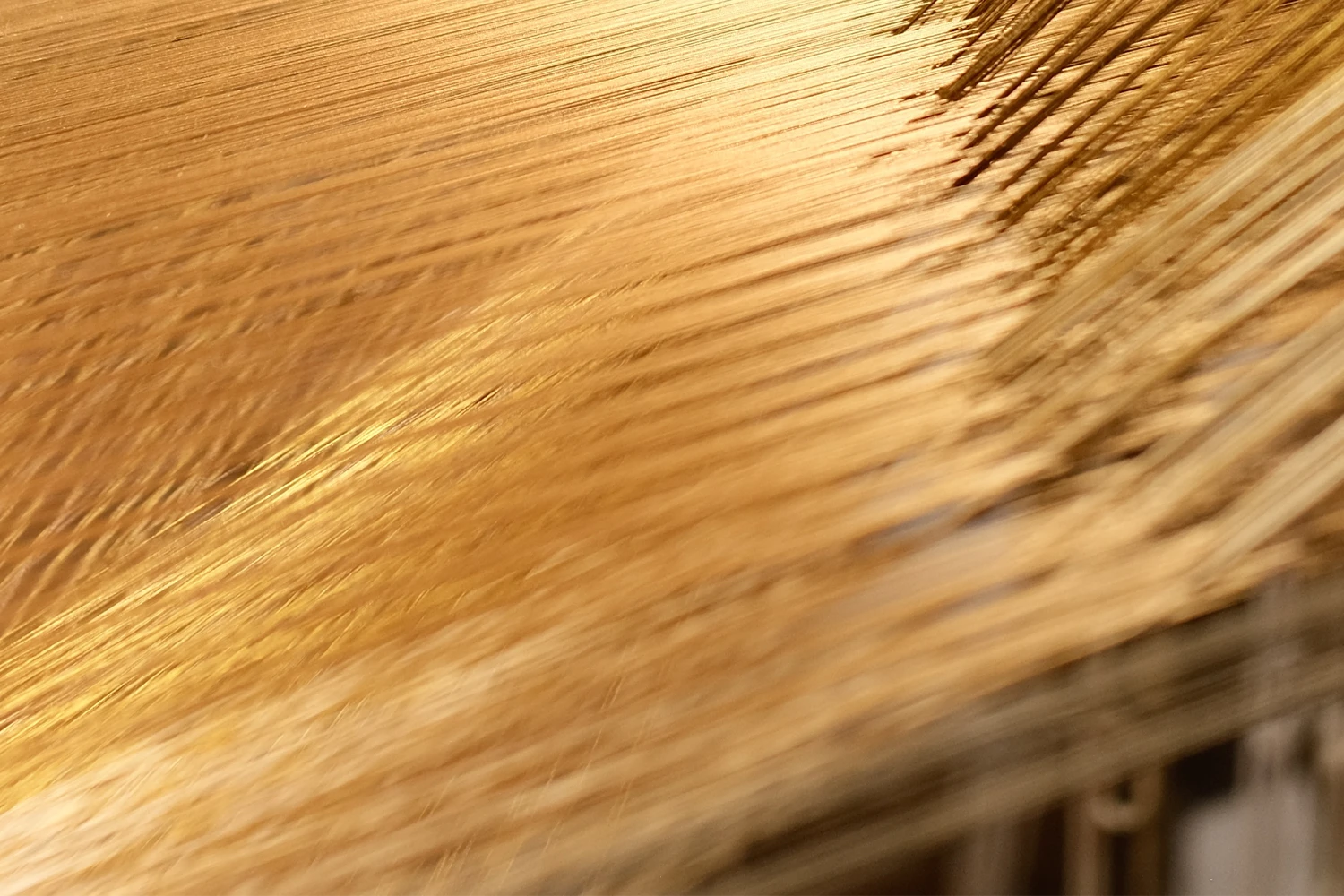 Corde di ordito che costituiscono la _base_ del tessuto