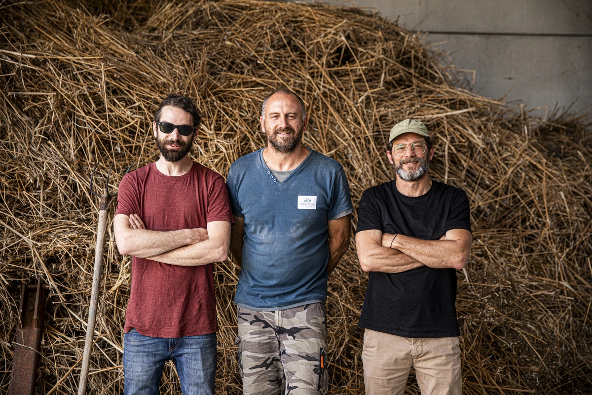 Emil Cioban, Michele Maghei, Alessandro Pollastri