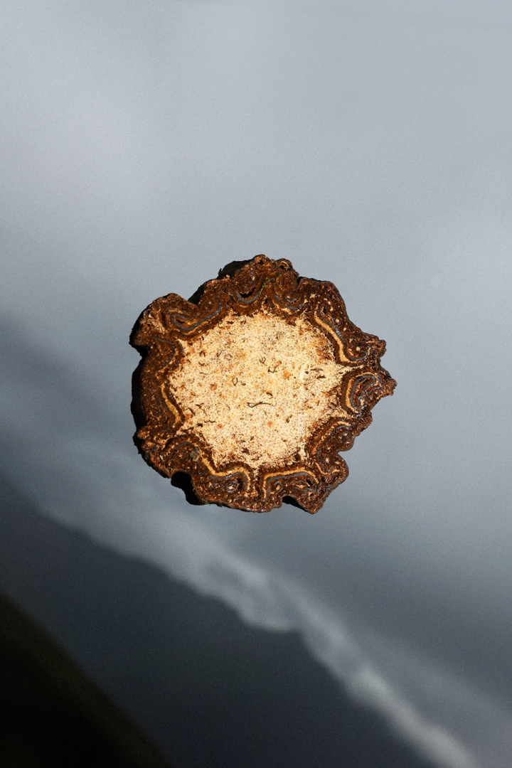 Gaia Anselmi Tamburini, Cieli Sonori