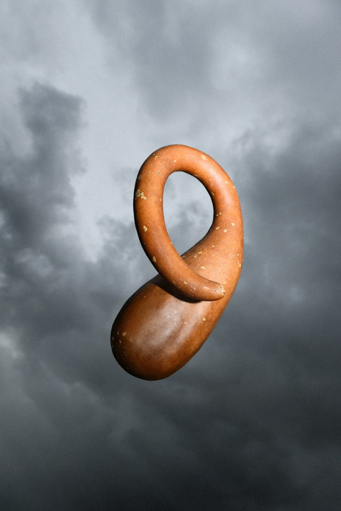 Gaia Anselmi Tamburini, Cieli Sonori