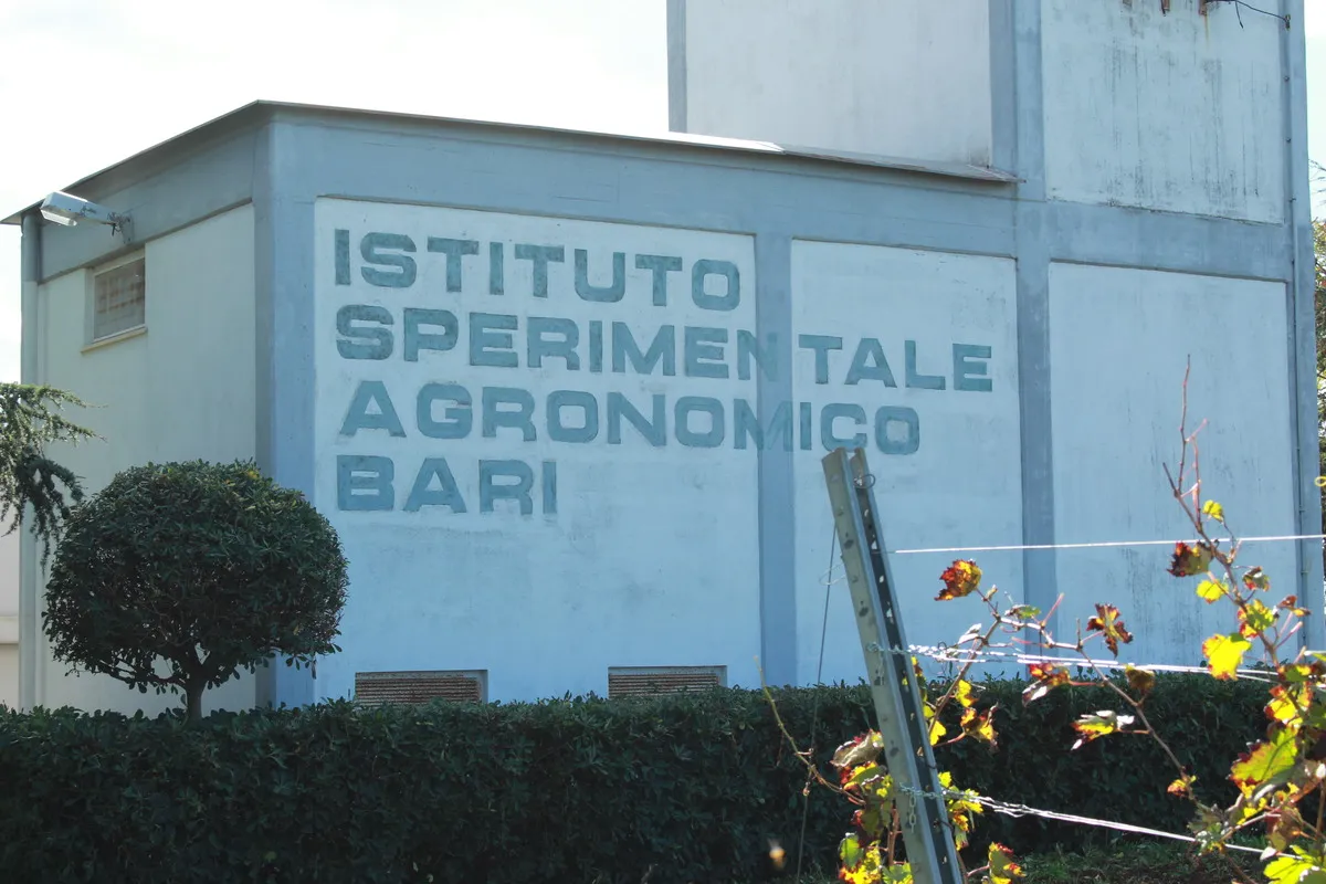 Istituto agronomico sperimentale di Bari