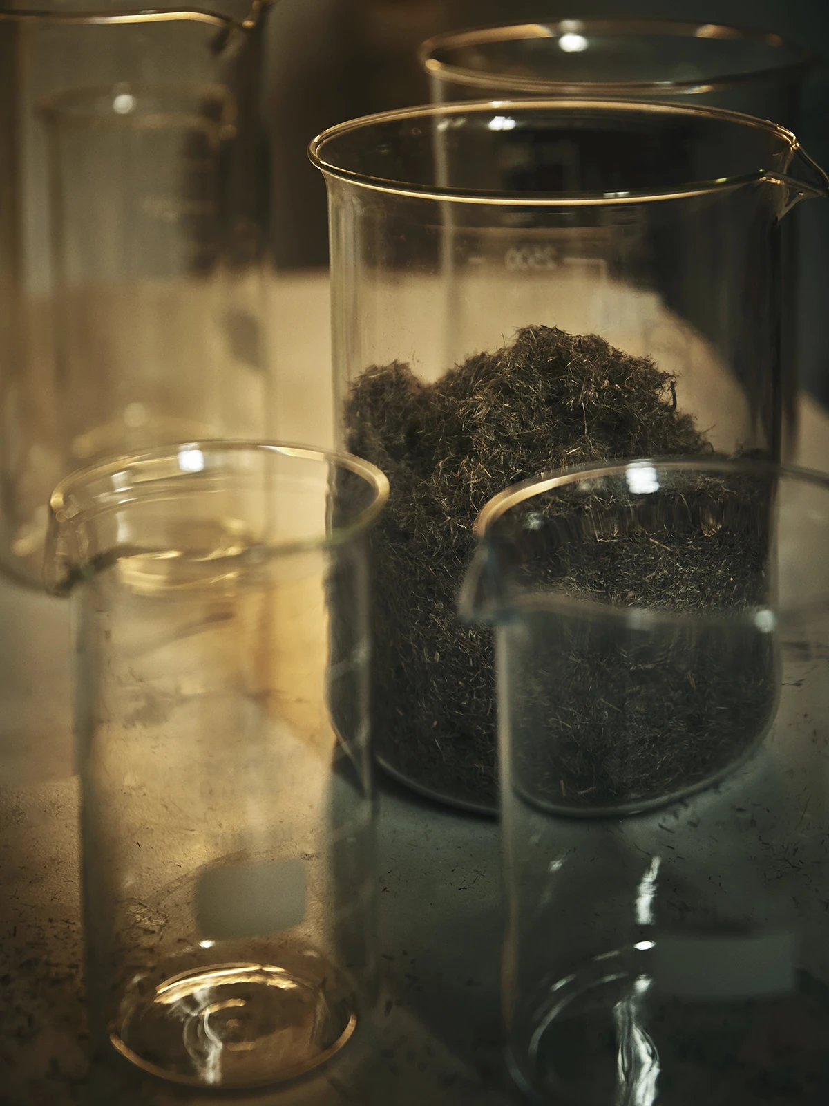 At Revoltech, the idea of choosing hemp residues for LOVRTM's production stemmed from the crop's environmental benefits © Revoltech