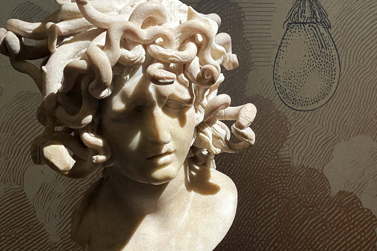 Cartier and Myth, high jewelry, Capitoline Museums, Rome