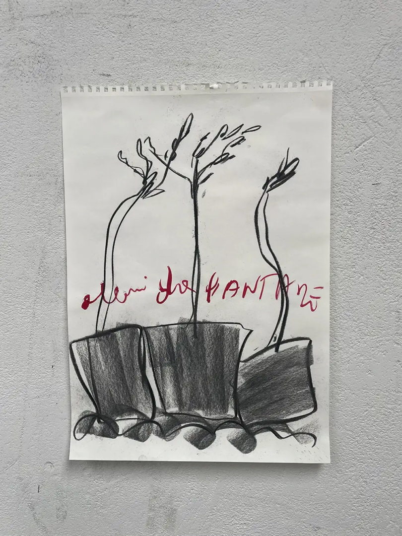 Cosimo Vella, Alberi da piantare, 2025. Collezione privata.