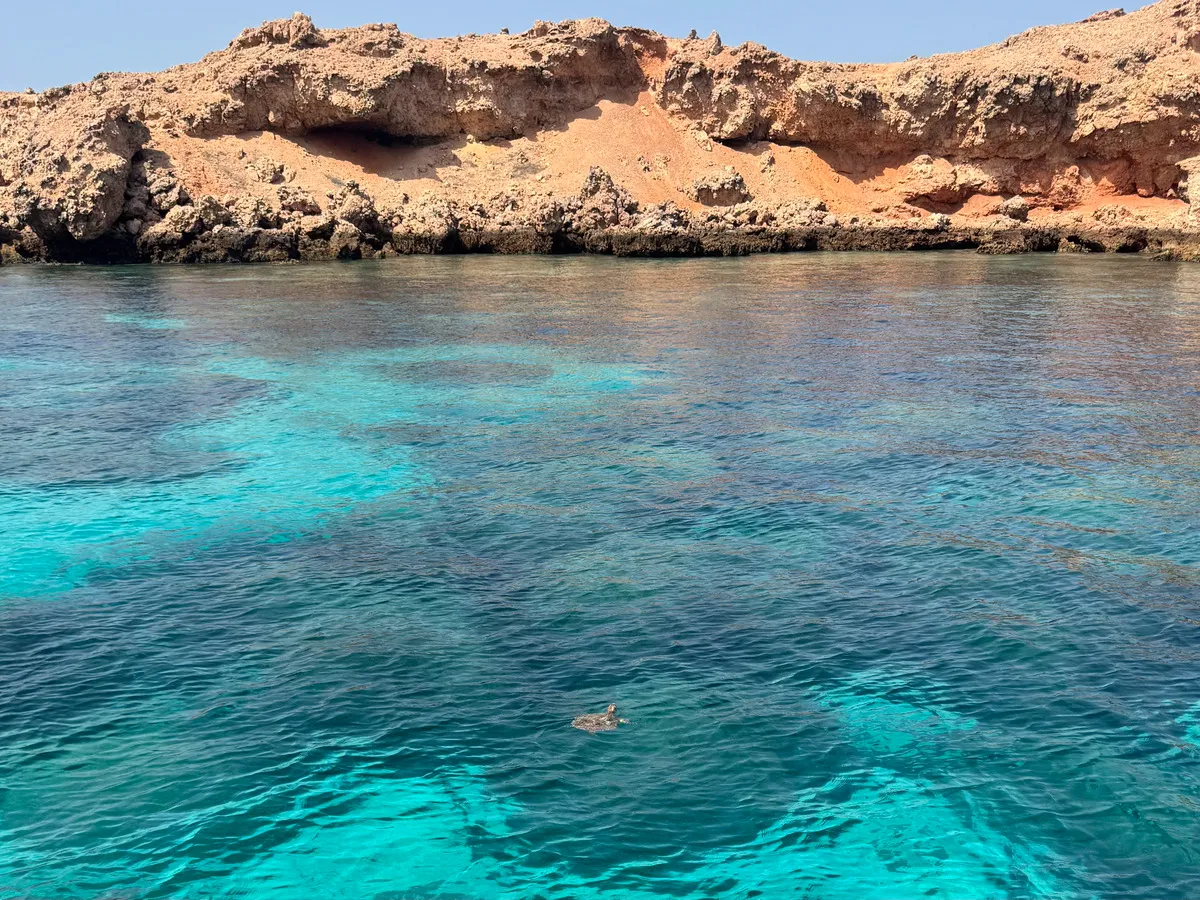 Daymaniyat Islands, a protected nature reserve known for its pristine waters, coral reefs, and marine life like sea turtles and dolphins