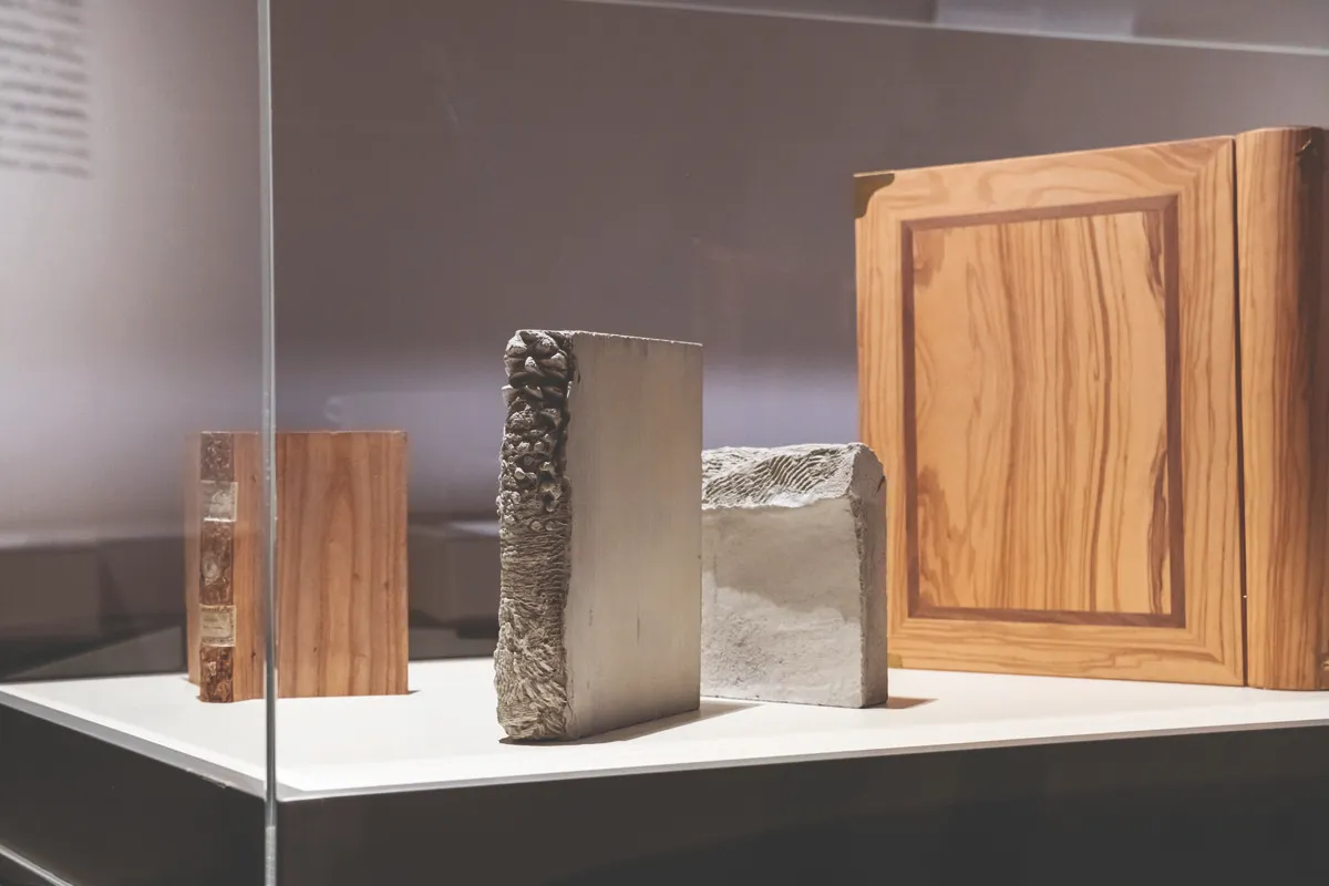 Dolomiti contemporanea - Progetto Xilogenesi con Tesaf Unipd_Xiloteca di Eugenio Trevisan, libri d_artista di Giuseppe Vigolo e David Casini_Foto Teresa De Toni