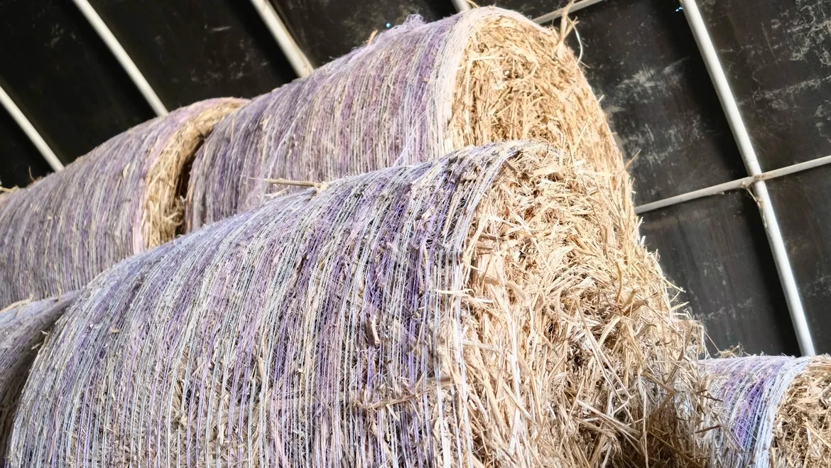 Hemp bales for green building