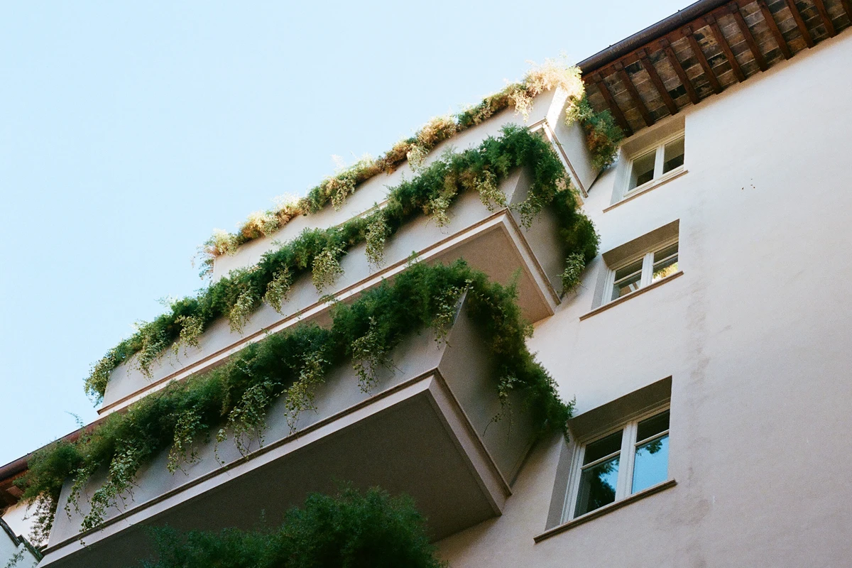 Il cortile interno, Nomos Roma
