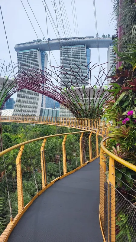 OCBC Skyway, Gardens by the Bay