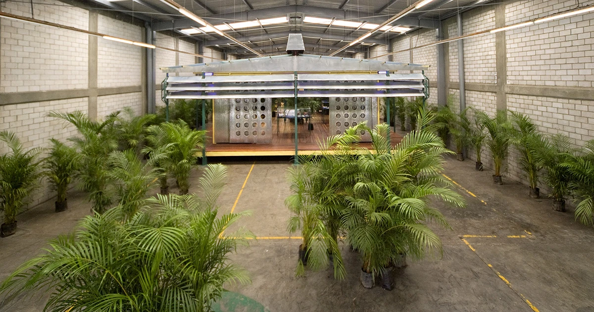 Rirkrit Tiravanija untitled 2006 (palm pavilion), 2006-08 Veduta dell’installazione, kurimanzutto, Città del Messico, 2008