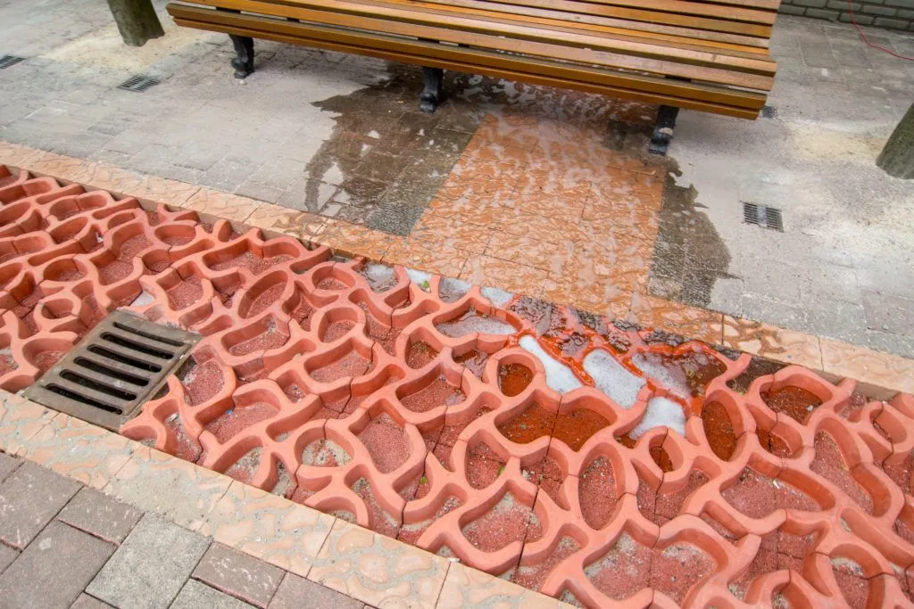 Rotterdam’s New Rain(a)way Garden 10