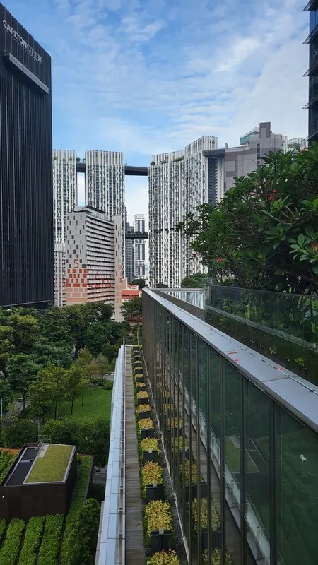 View toward PinnacleDuxton