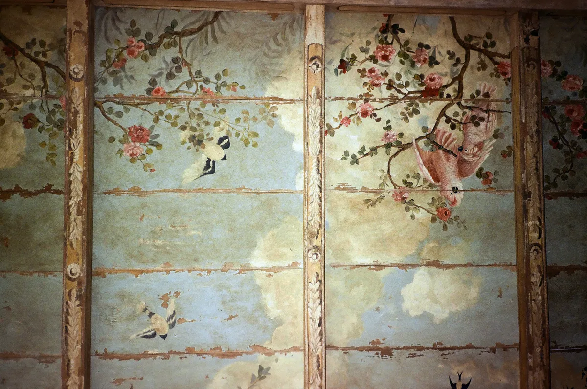 Città della Pieve, Foresteria Bandini - dettagli al soffitto