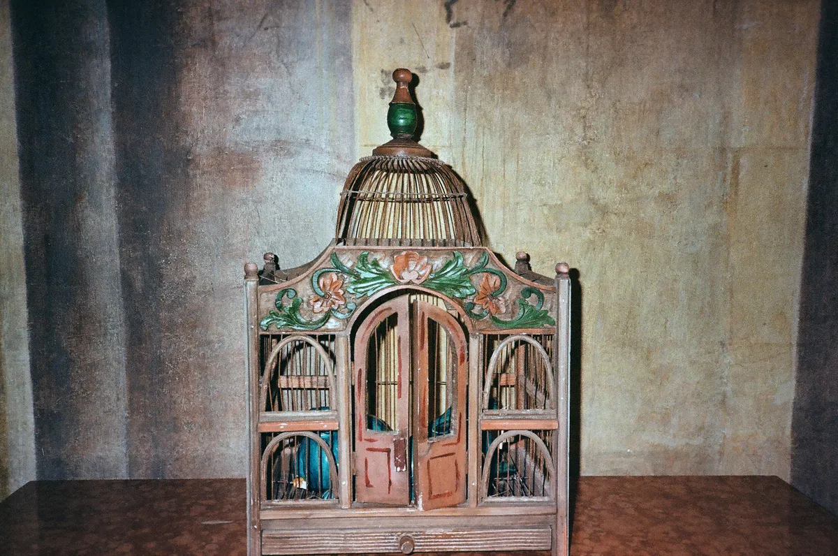 Città della Pieve Foresteria Bandini, dettagli