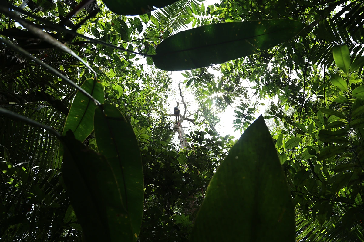 DEEP confronts the raw impact of extraction and evolves with the living world