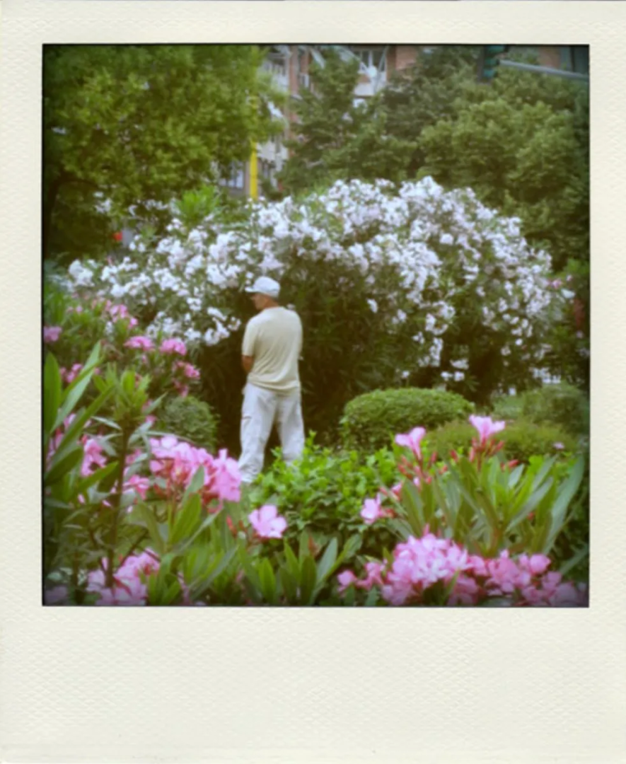 Polaroids, Olbania. Courtesy Alterazioni Video