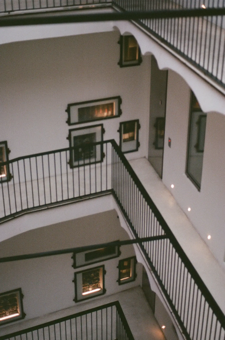 Rhinoceros, Court, Roma