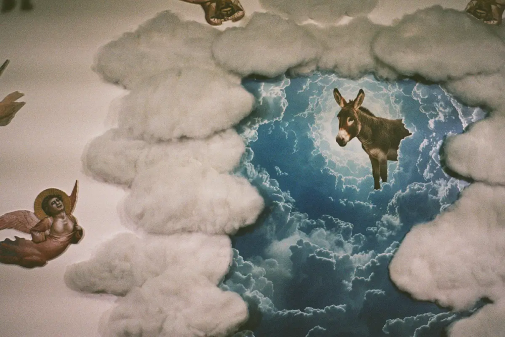 Rhinoceros Gallery, Roma, Installation