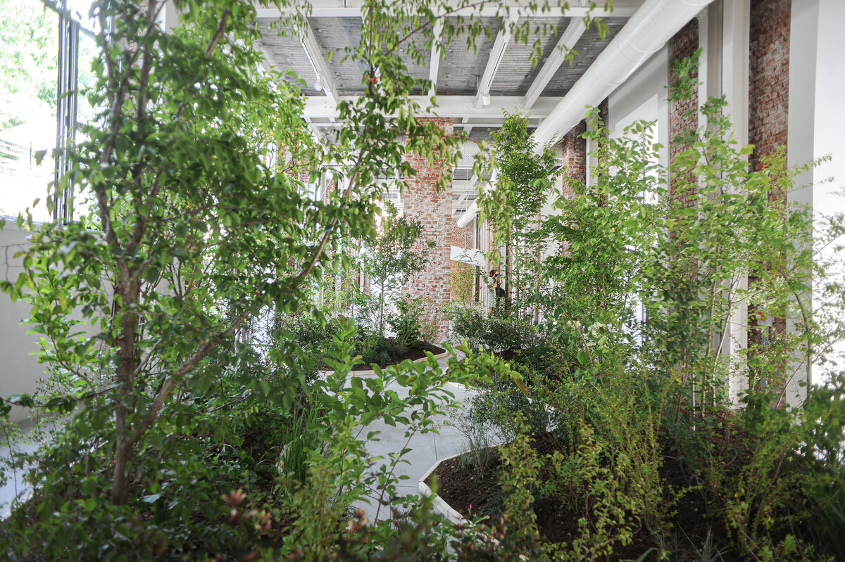 Green Wise Italy-INDOOR FOREST_Casa degli Artisti_Photo Credit_Elisa Biagi_03