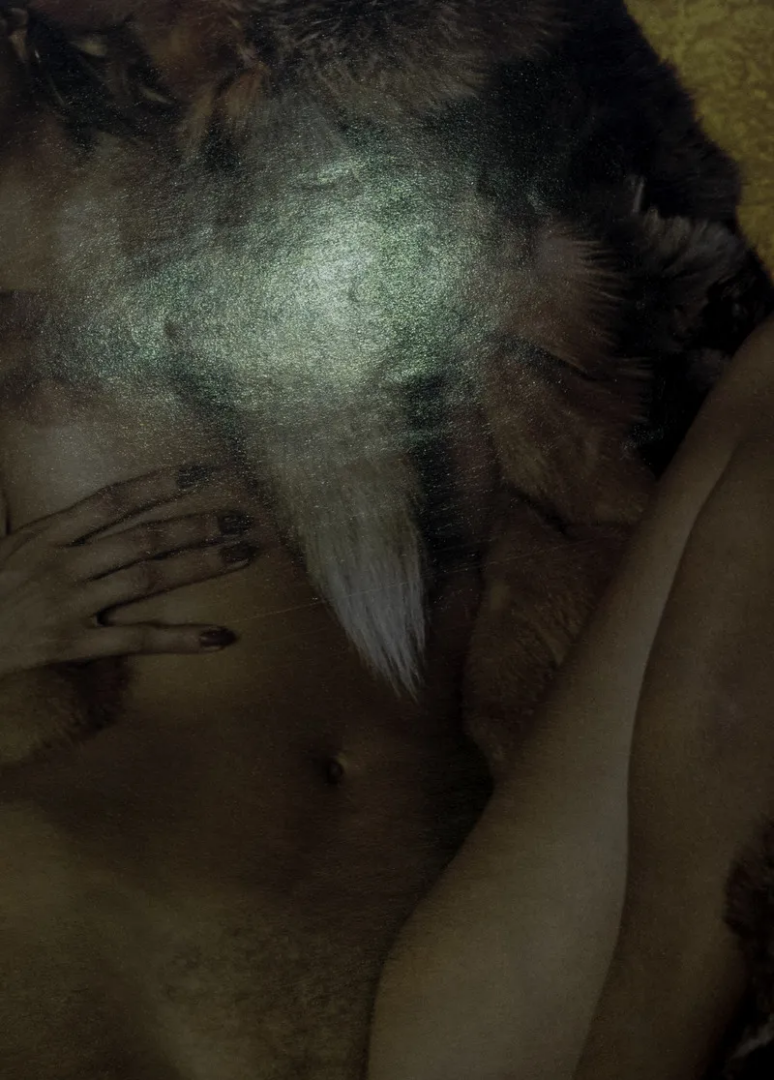 Jurgen Maelfeyt, Furs