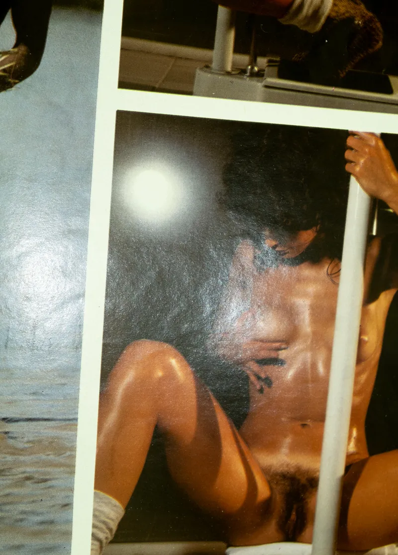 Jurgen Maelfeyt, Wet