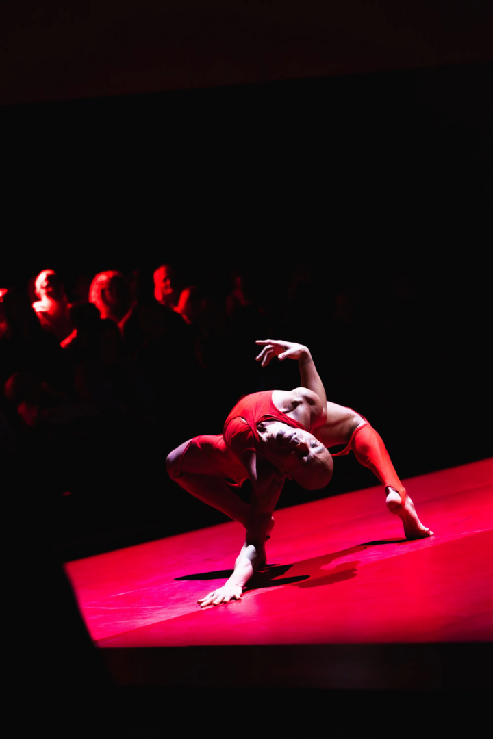 Tribe - Photo Credit STUDIO AURA, courtesy of Northrop _0148