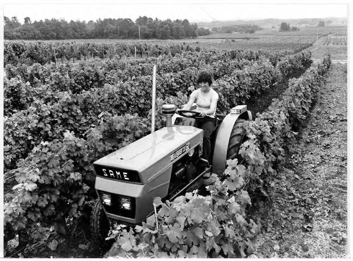1978, Same Vigneron 60