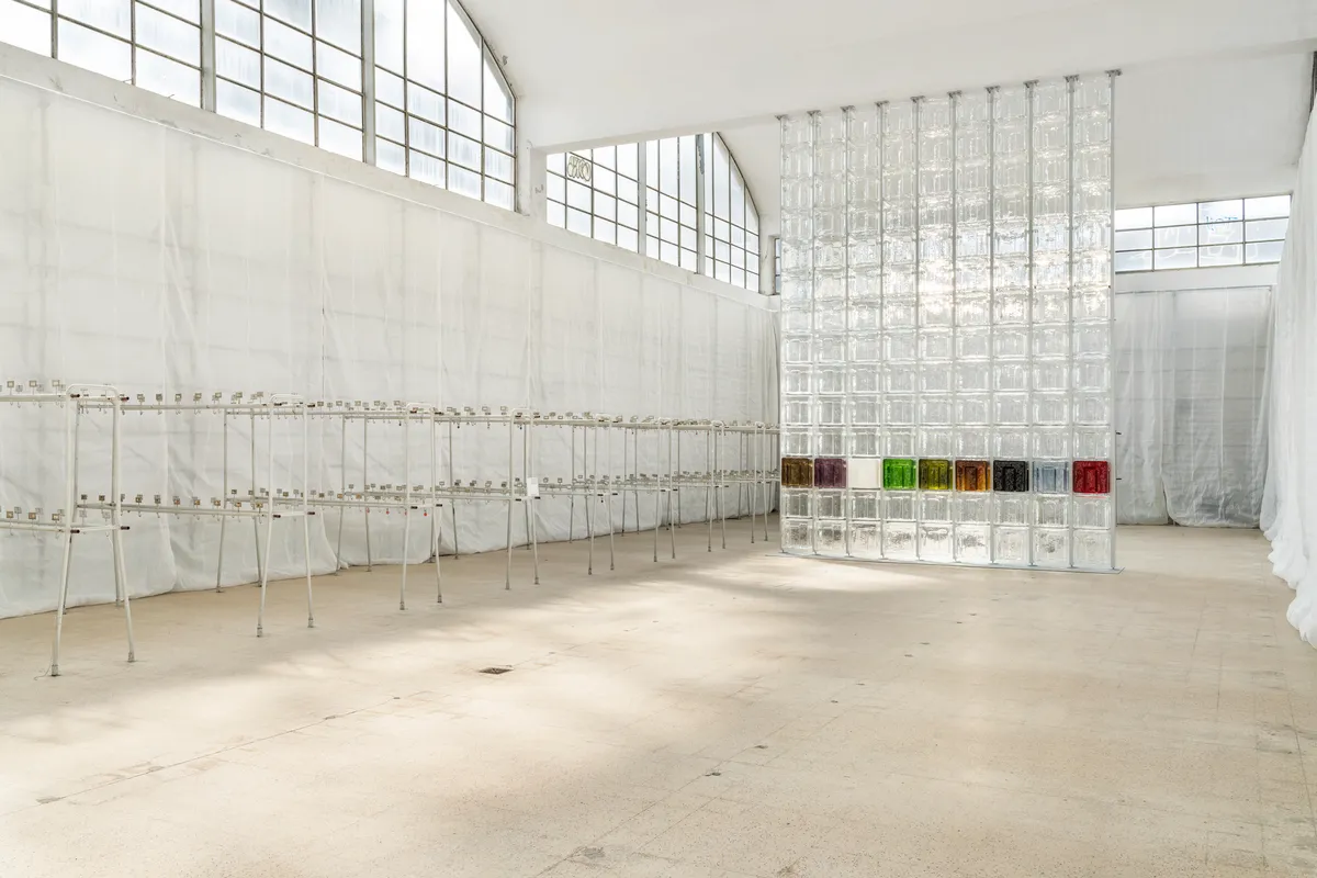 6AM - Over and over and over. Foto Melania Dalle Grave. Courtesy DSL Studio