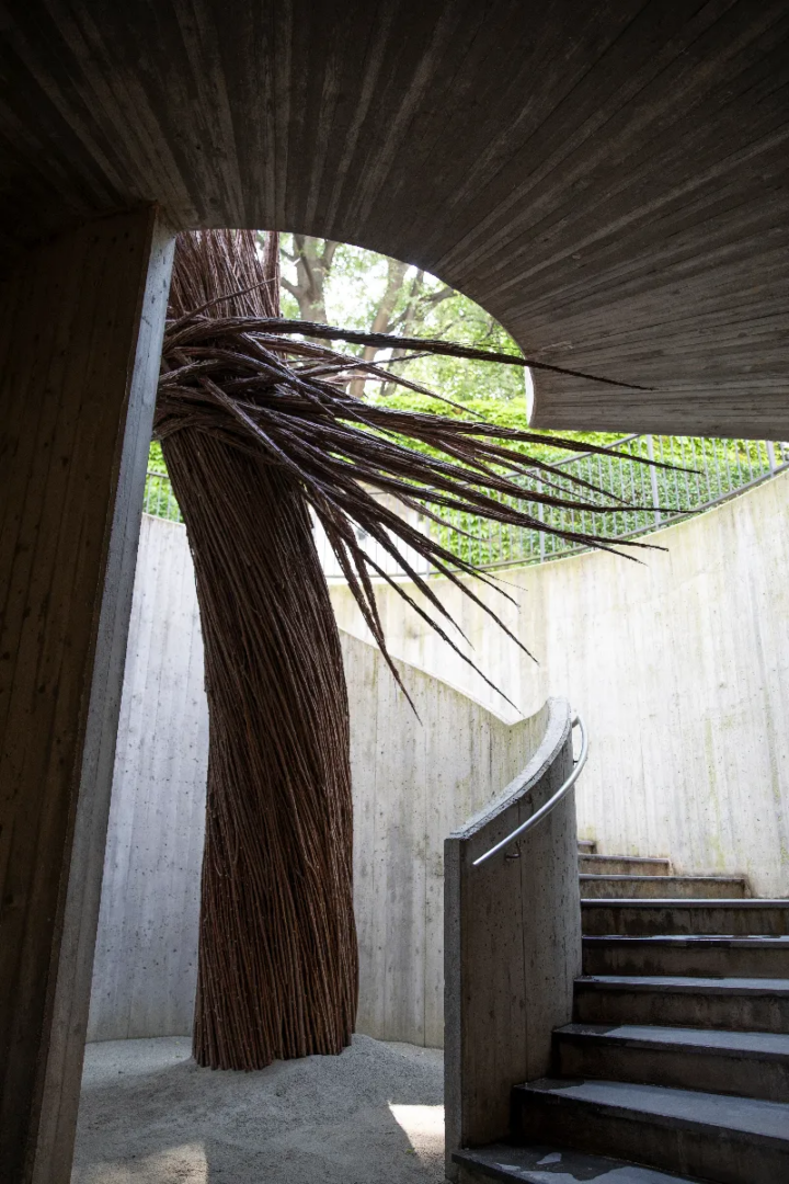 A Thousand Voices — When Apricots Blossom, opera di Ruben Saakyan e Roman Shtengauer per ACDF