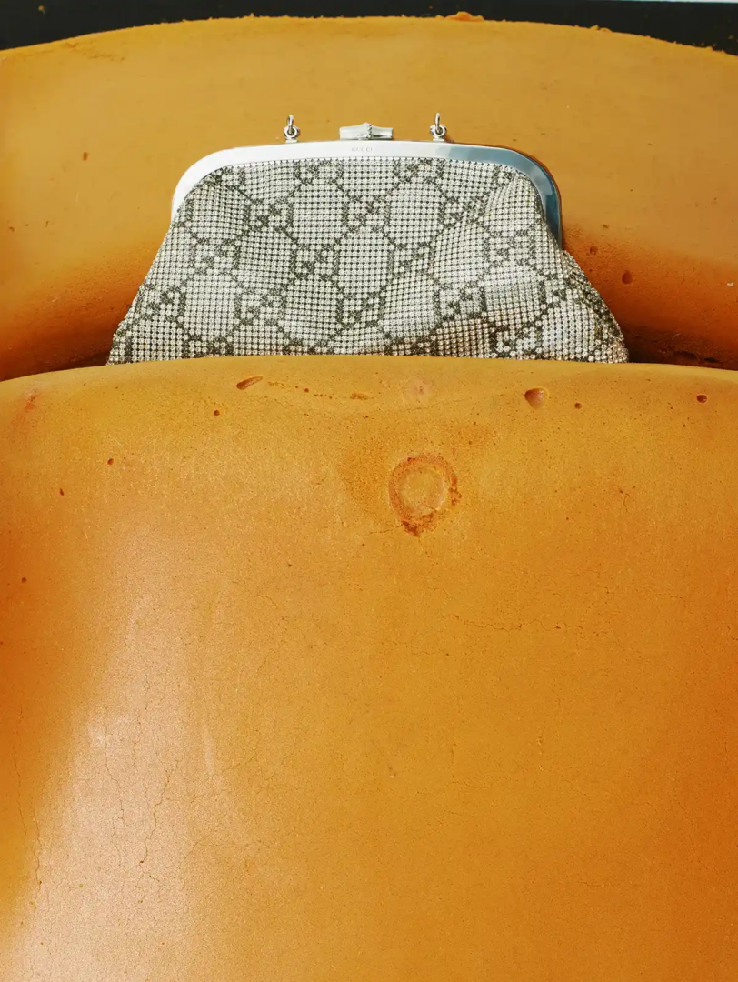 Bag Gucci, photography Erwann Petersen