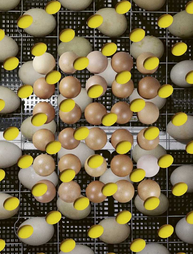 Mat Maitland surreal artworks for Lampoon Meccano