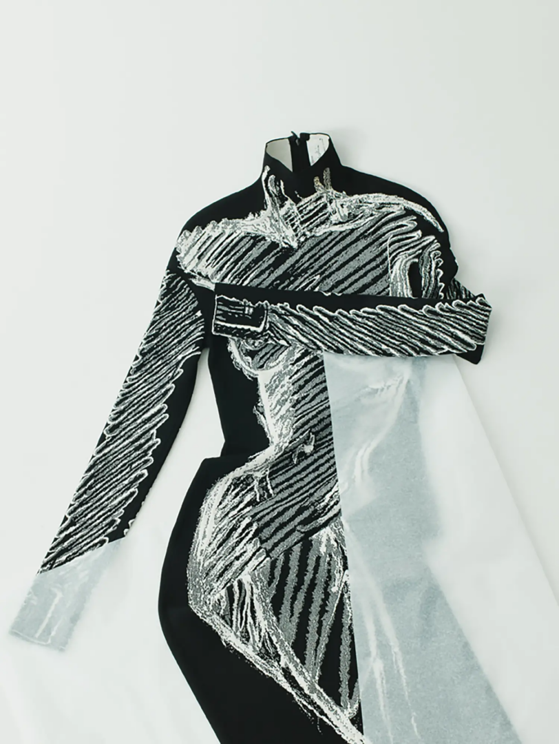 Dress Schiaparelli, photography Erwann Petersen