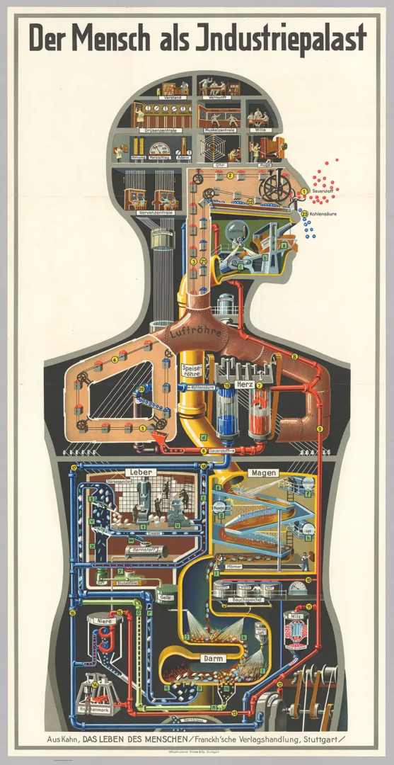 Fritz Kahn, Man as an industrial palace.  Folded poster in Fritz Kahn, Das Leben Des Menschen, vol. V (stuttgart_ Franckh’sche Verlagshandlung, 1926) 1926, print on paper, Collection Thilo Von Debschitz, Wiesbaden