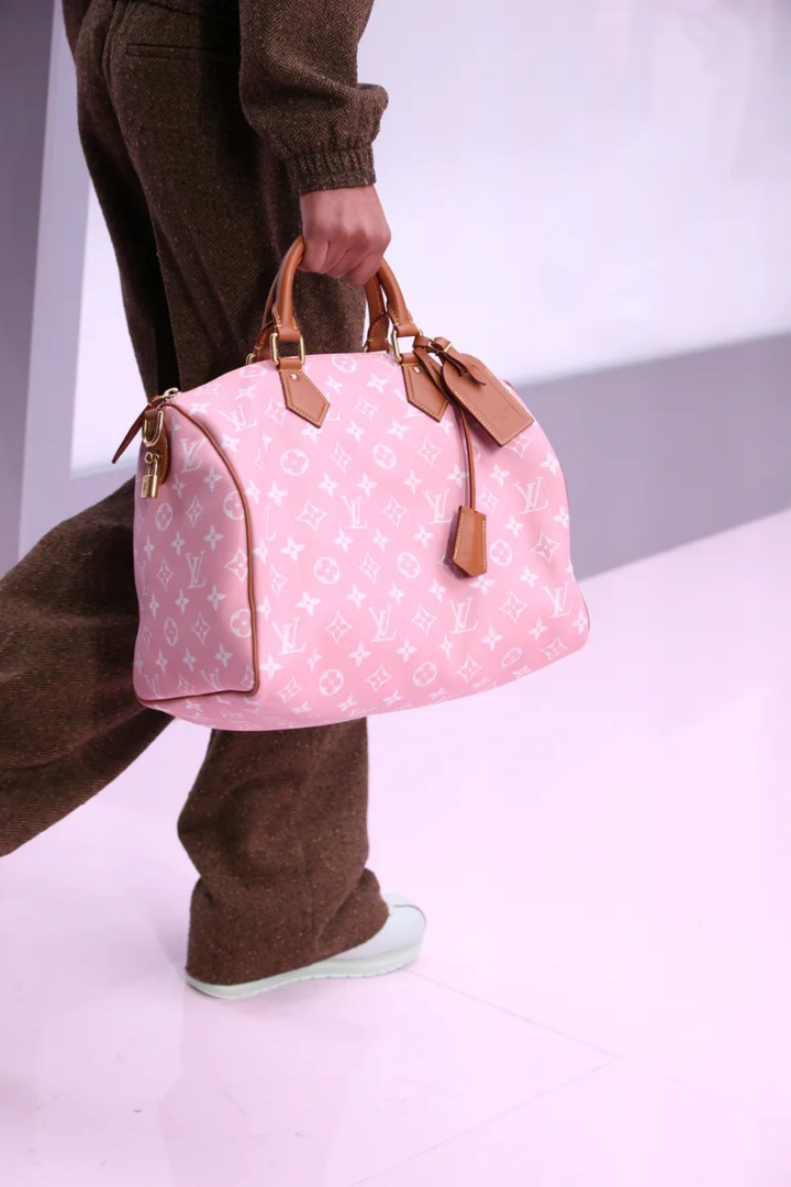 Louis Vuitton Men's Ffalll Winter 2025