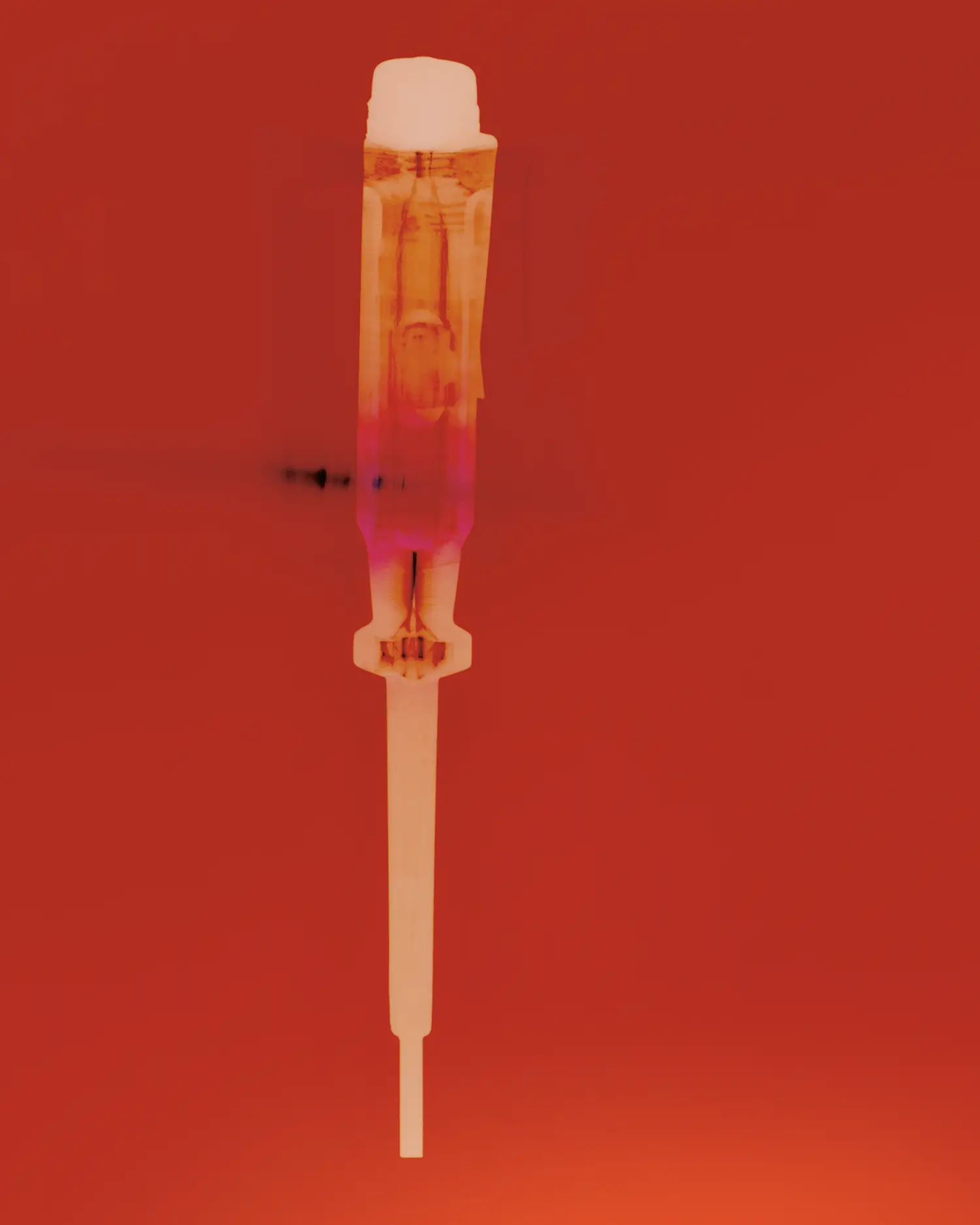 Photography Adrien Dubost