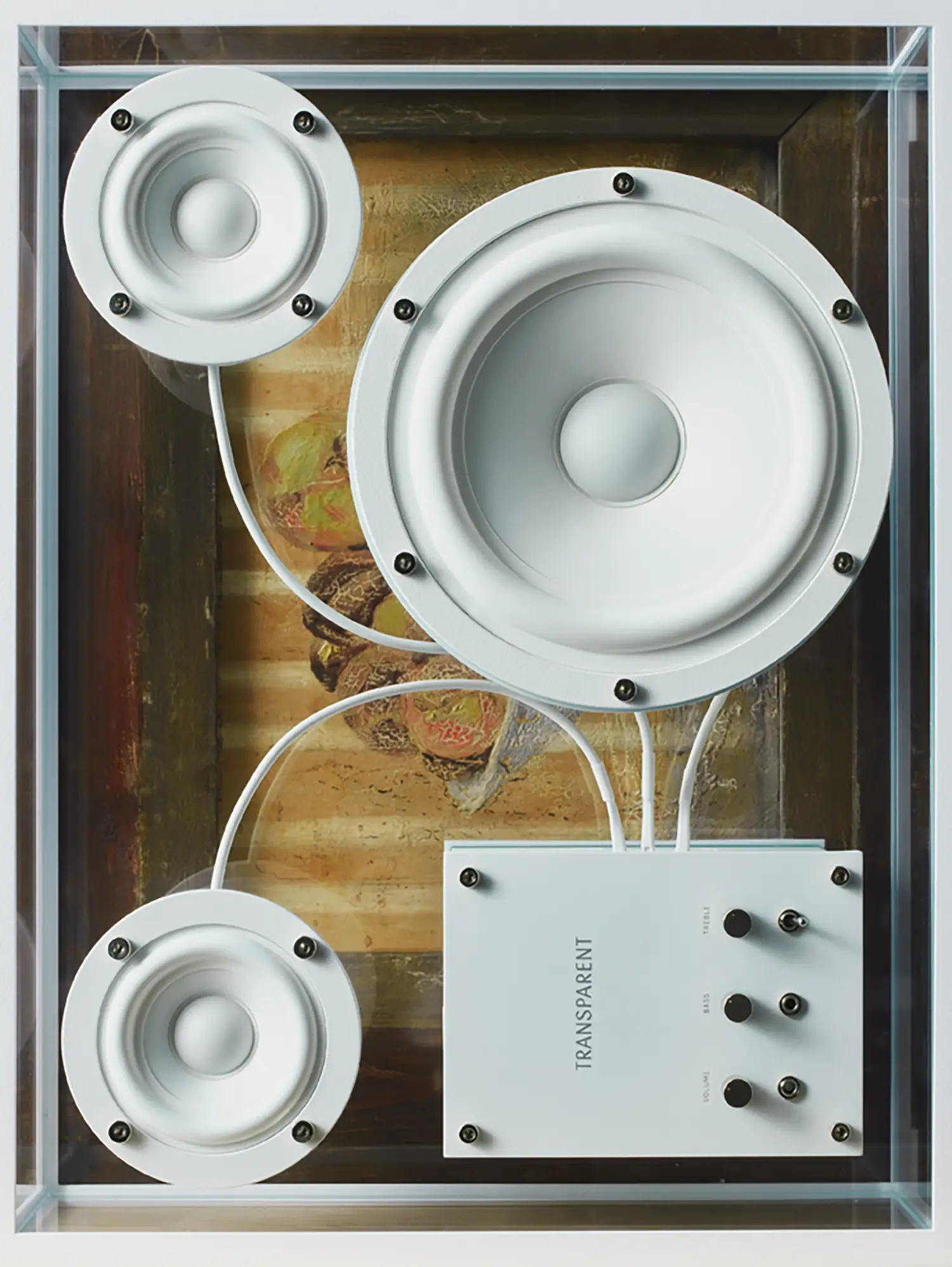 Speaker Transparent, photography Erwann Petersen