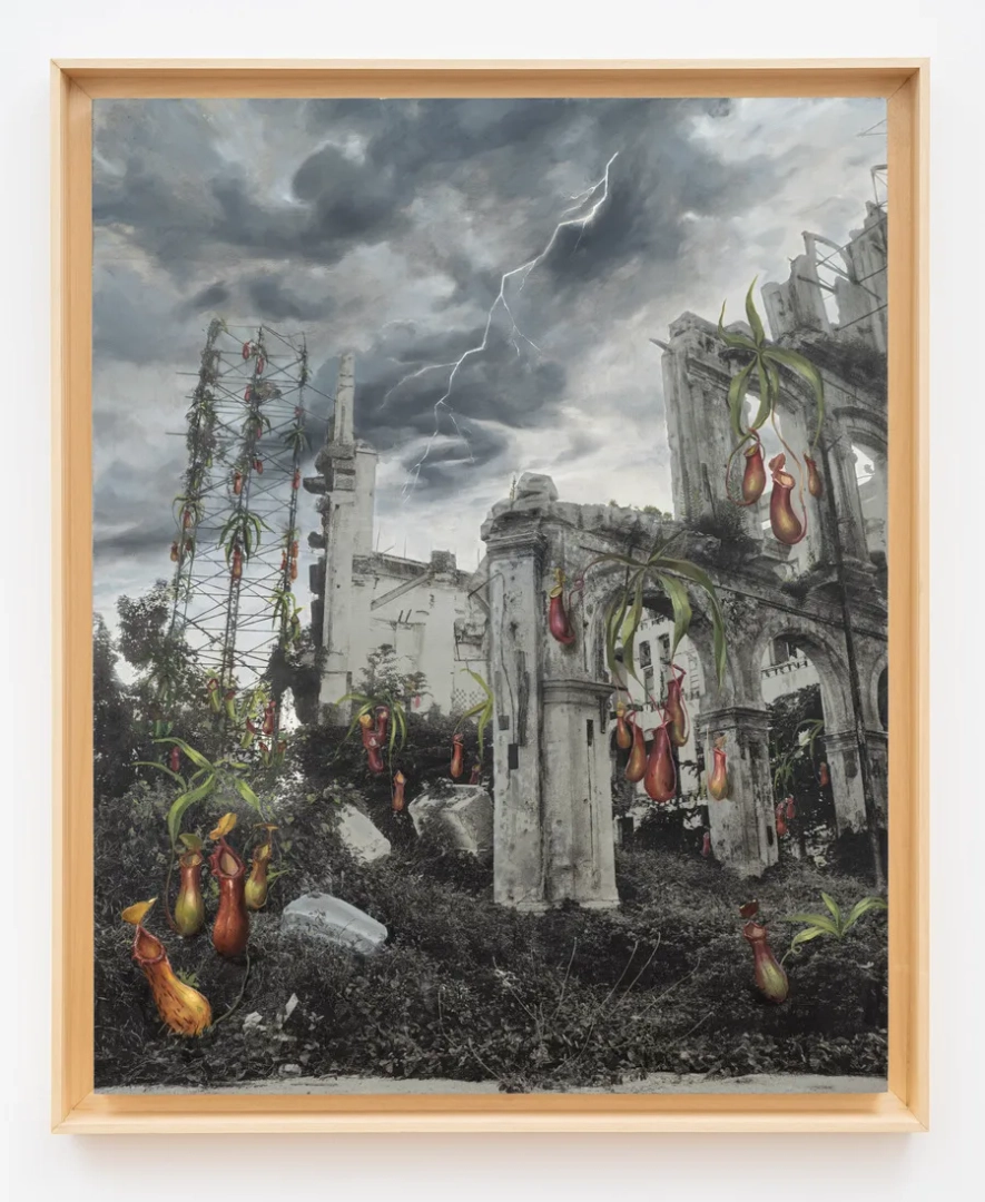 Carlos Garaicoa, Nepenthes mirabilis (Planta jarra/ Pitcher Plant) 2025, digital print in gesso lex and oil on black poplar wood, 107 x 87,5 x 6 cm. Ph. Giorgio Benni