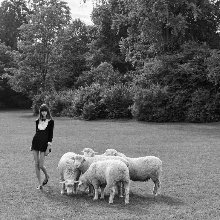 Celine FW 2020 Campaign by Hedi Slimane