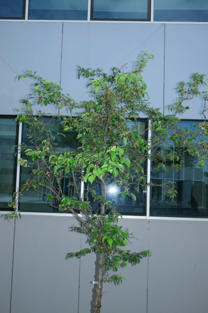 La sede Fujifilm a Segrate, presso il Segreen Business Park