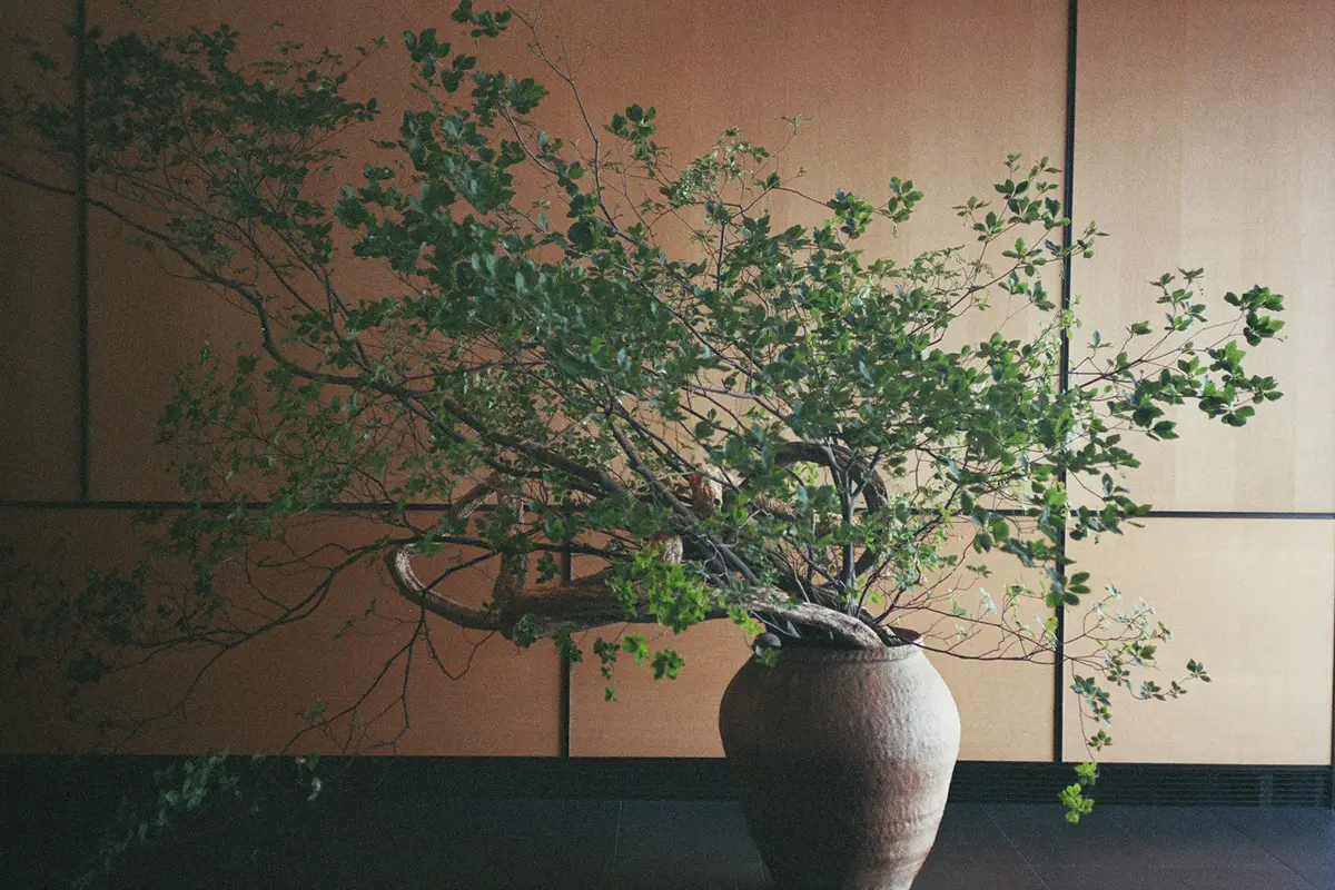 Park Hyatt Kyoto