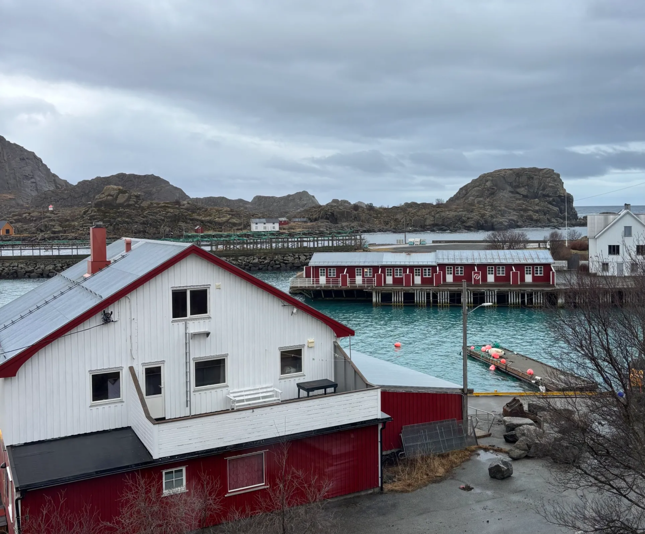 Dalle Isole Lofoten all’Italia: la filiera dello stoccafisso. Reportage dalla Norvegia