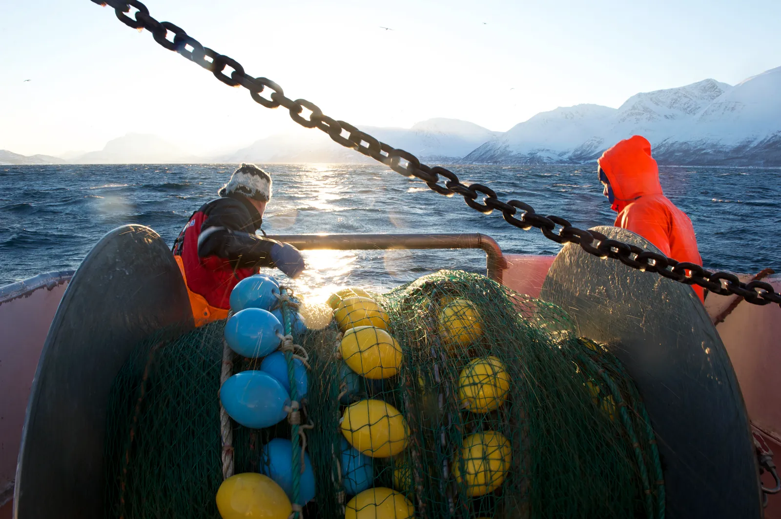 Dalle Isole Lofoten all’Italia: la filiera dello stoccafisso. Reportage dalla Norvegia