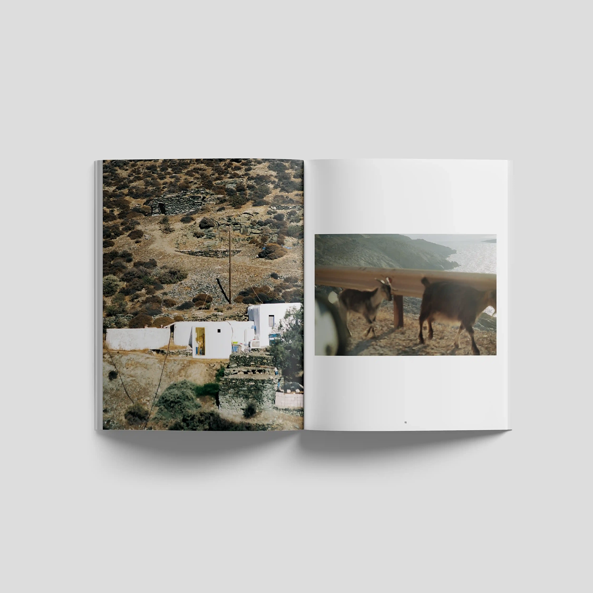 The Possible Dream – Akila Berjaoui